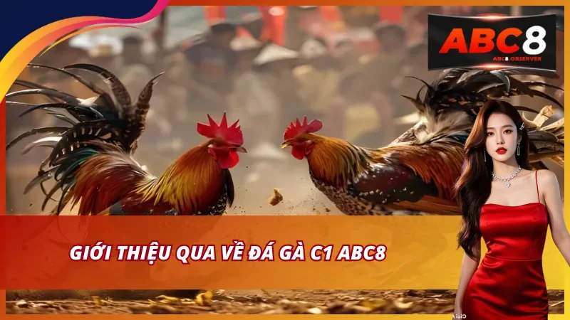Đá gà C1 là gì và khám phá các thông tin cơ bản